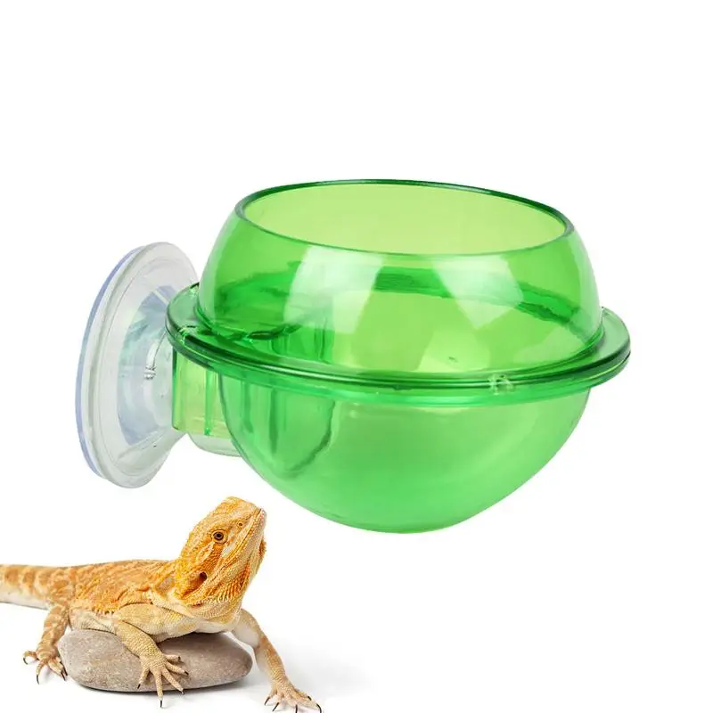 Arboreal Reptile Live Anti Escape Sucker Feeder Reptile Feeder Chameleon Kŕmenie potravinovej misky Vodná sacia šálka pre Gecko Lizard