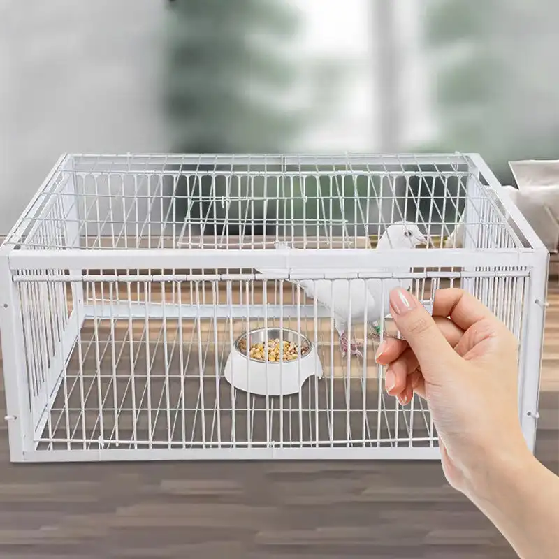 Autotrap Bird Cage Králiková klietka klietka klietka Klietka Klietka Zhruba šifrovaná automatická