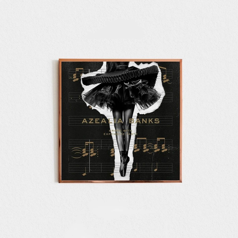 Azealia Banks sa zlomil s drahým hudobným albumom TAS Canvas Plagát Art Hip Hop Rapper Pop hudba hviezda domáci nástenný maľba dekorácia