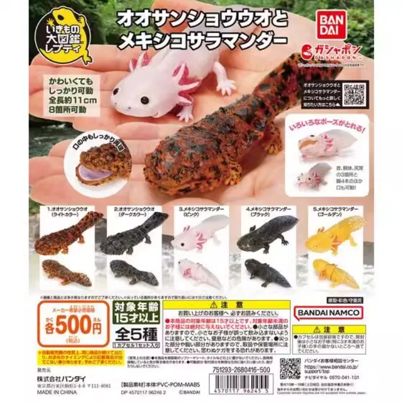 Bandai Original Gashapon Kawaii Cute Anime Great Nyonne Salamander Pepper Fish Axolol Figure Gachapon Capsule Hračky modely darček
