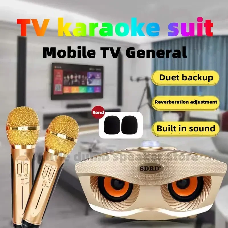Bezdrôtový mikrofón SD306 plus karaoke prenosná zvuková karta Živé vysielanie Bluetooth Reproduktor integrovaný hudobný centrum domácej strany