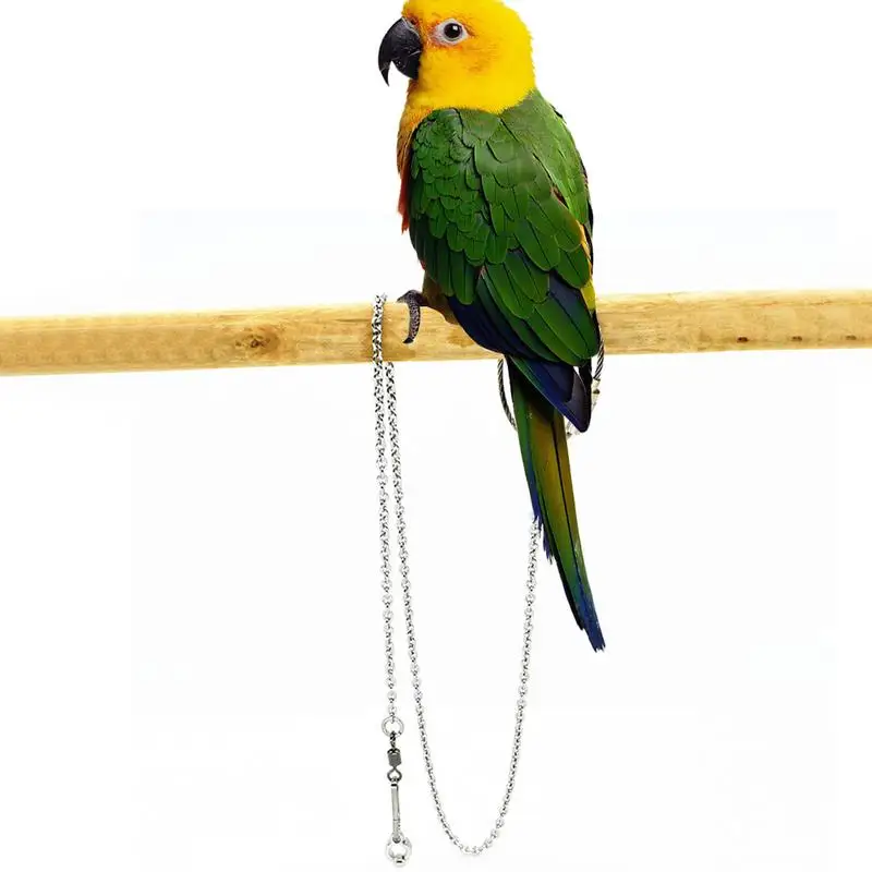 Bird Parrot Foot Chain z nehrdzavejúcej ocele Členový prsteň stojan na nohy outdoorové letové výcvik vtákových doplnkov SMLXL