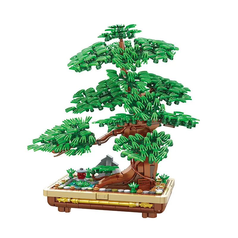 Borovica bonsai blok DIY