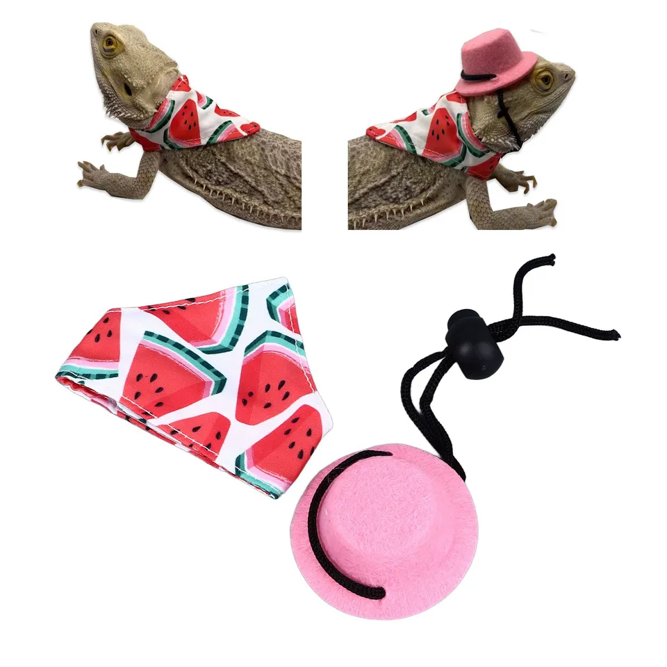 Brada draka klobúka Bandana Set Pohodlné vynikajúce halloweenské jašterice kostým s malými zvieratami cosplay outfits