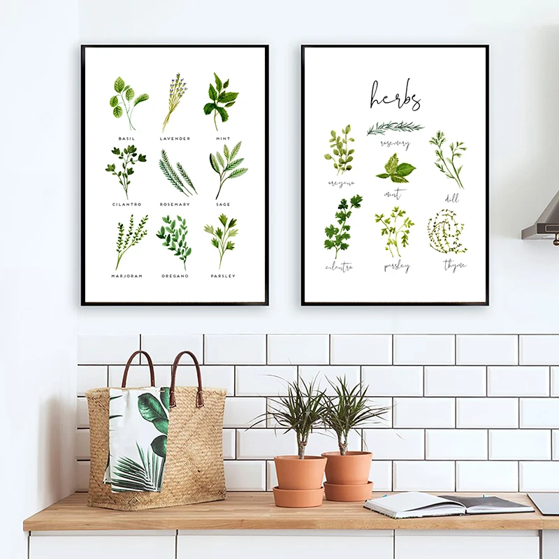 Bylinky plátno tlač a plagát akvarel bazalka oregano šalvia koriander maľba maľba botanického obrázka kuchynská stena dekor