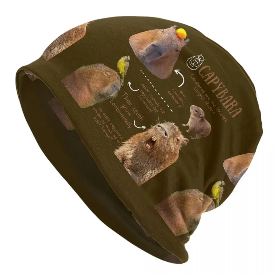 Capybara Zábavné fakty Bonnet klobúky Cool pletený klobúk pre mužov Ženy Jesné zimné teplé lebky Čiapky čiapky