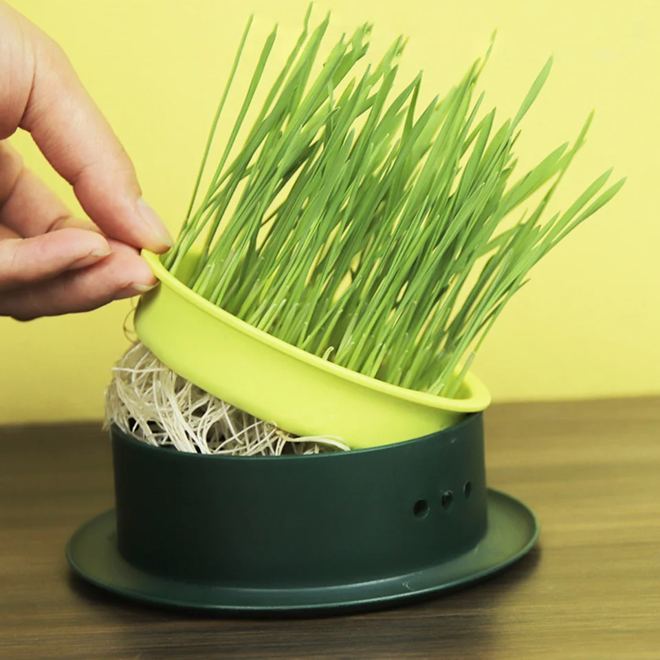 Cat Grass Grower Soilless Hydroponická mačka tráva sada catnip rastlinný hrniec pre pet kreatívne kvetináče škôlky Indoor Hots