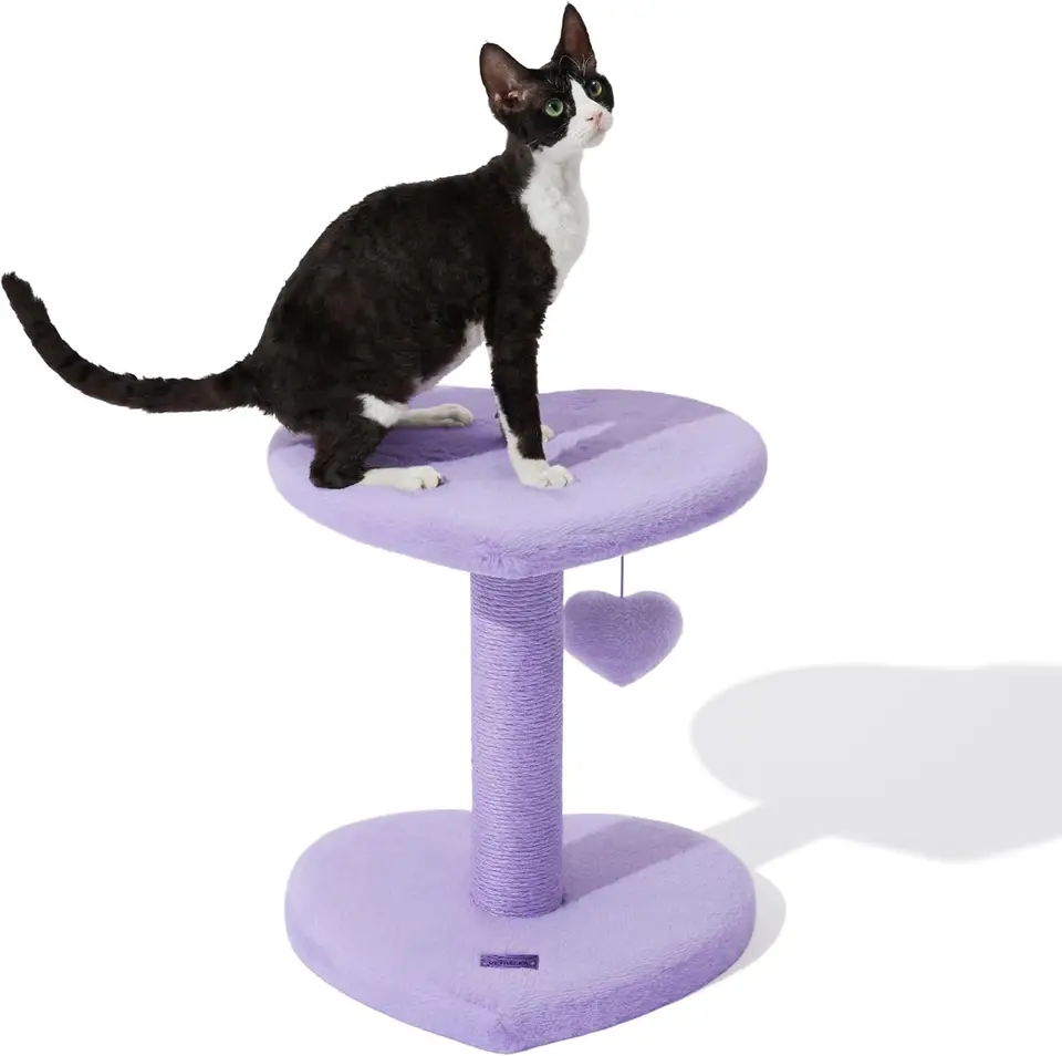 Cat Tree Cat Tower pre vnútorné mačky s plošinou v tvare srdca Purpurová mačka lezenie ráme