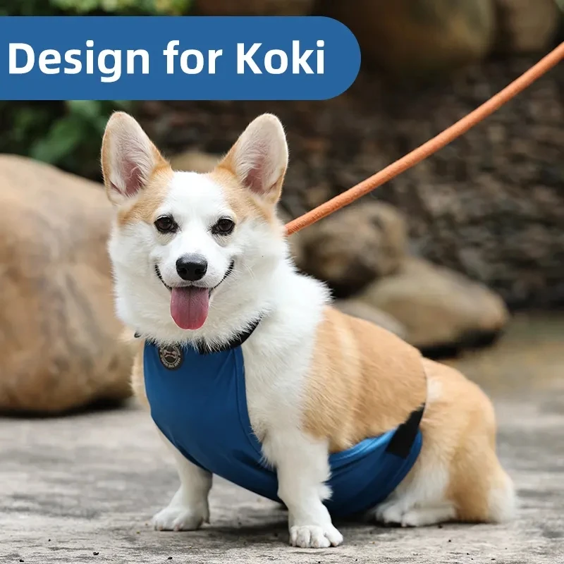 Chráňte Corgi bruško vodotesné zástera Pet Dog Clothes pre malé krátke nohy Domáce zvieratá odev francúzsky buldog mops kostýmy