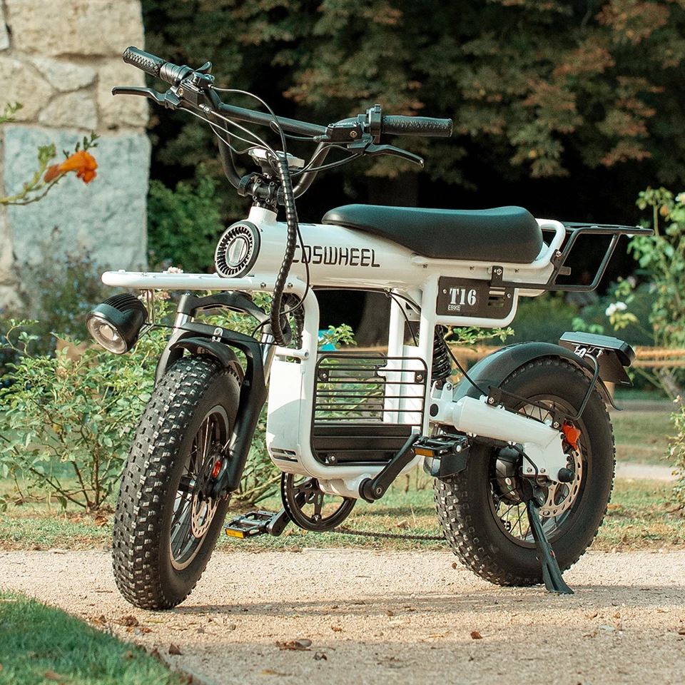 Coswheel T16 Factory Direct Sales Dve kolesá 750 W 48 V Nové ceny Nové ceny Rýchle rýchlosť Hybrid 48 V Elektrické mestské bicykle E Bike Ebike