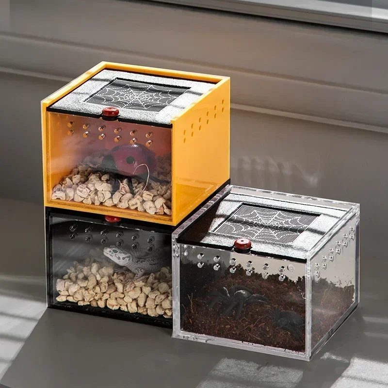 Crawler Box Jumping Spider Box Anti-Escape Pets Pets Crawling Box Acryl Scorpion Beetle hmyz malá chovná klietka
