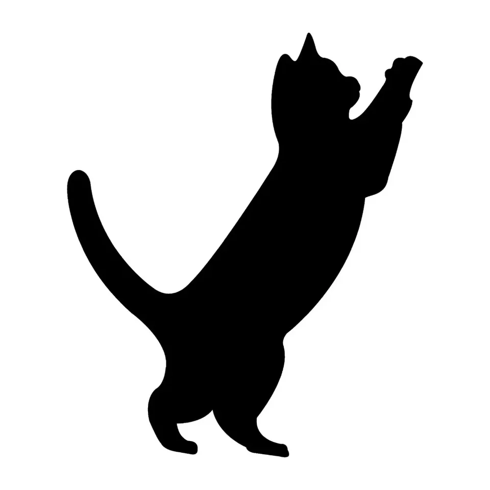 Cute Cat Funnycar Stucieps Classic Animal Window Doplnky Doplnky vodotesné a opaľovacie krémy vinylové obtlačenie, 11 cm*13 cm