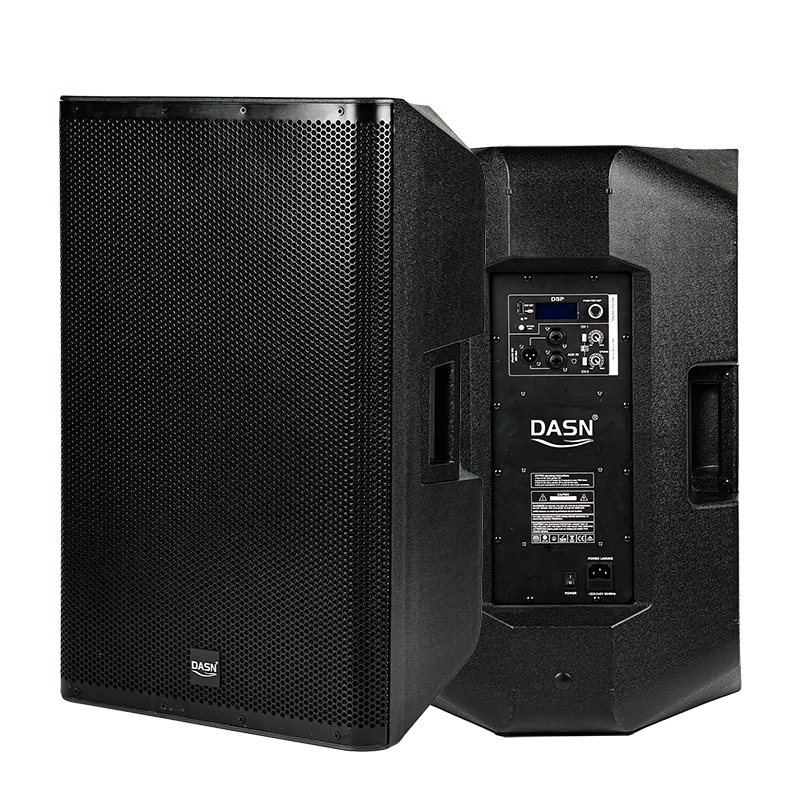DASN SCG10DF 10 palcov 200W RMS 2 Way DSP DJ Stage Sound Home Ware Audio Profesionálny aktívny plast