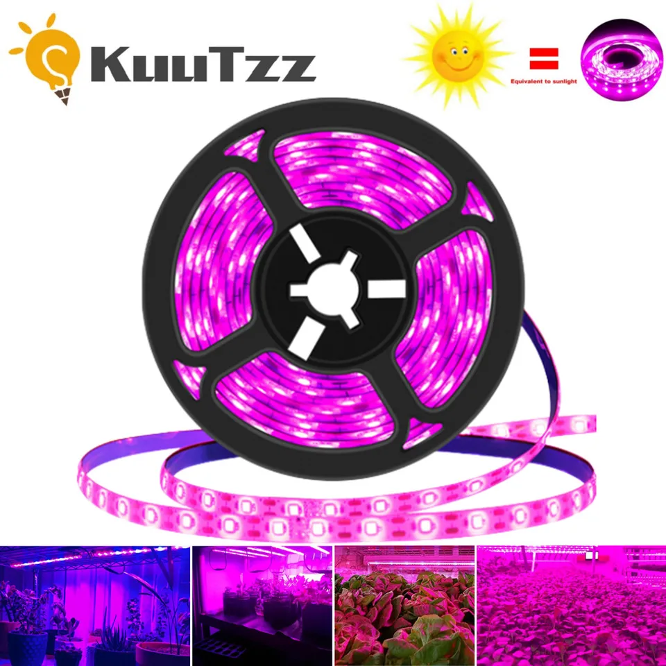 DC 5V USB LED GROW Lights 1M 2M 3M Full Spectrum Phhyt Lamp Strip pre semená kvetinové skleníky Stan Hydroponické rastliny osvetlenie