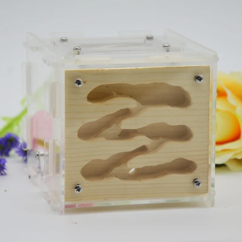 Deep Mountain Mravce a mravce 3D zostrihanie hniezdo Wood Nest Pet Ant mravt hniezdo domáce dielňa