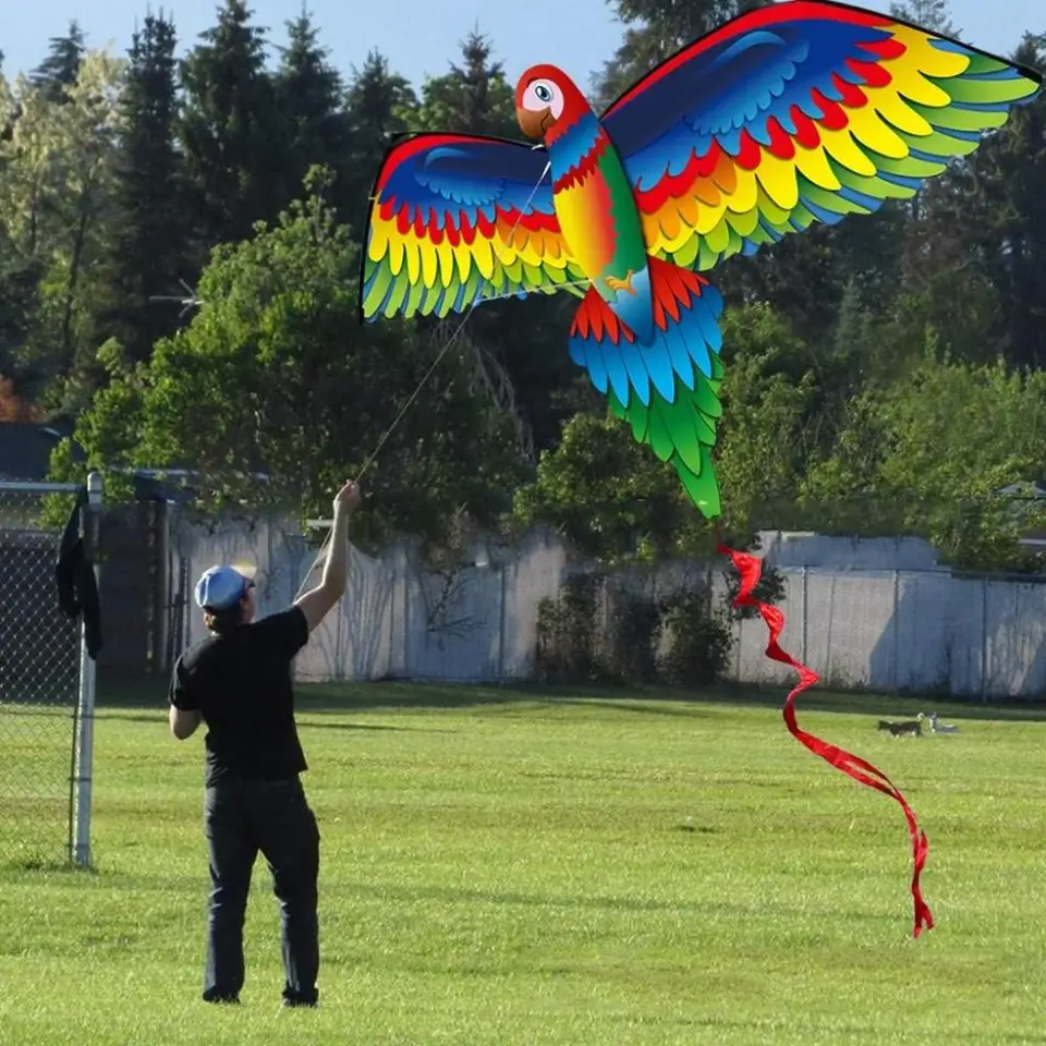 Deti realistické veľké 3D papagáj draka deti lietajúca hra outdoor hrací hra hračky záhradné hračky Fun hračky darček so 100m line