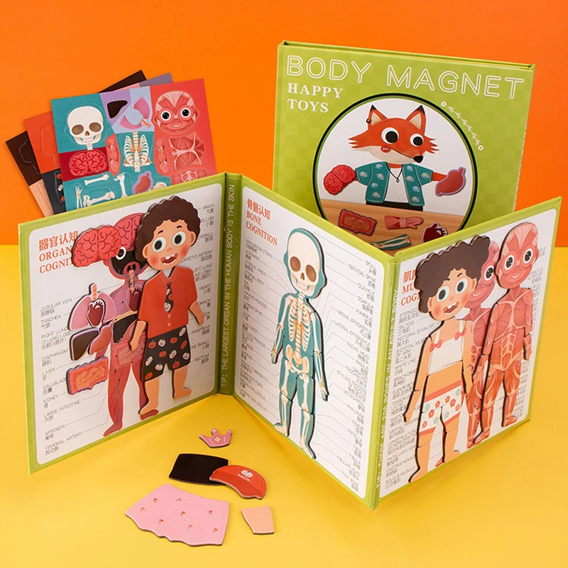 Deti ľudské telo orgány svaly kostru poznanie magnetické puzzle interaktívna hračka Montessori rušná kniha, senzorická hračka, senzorická hračka Preshool