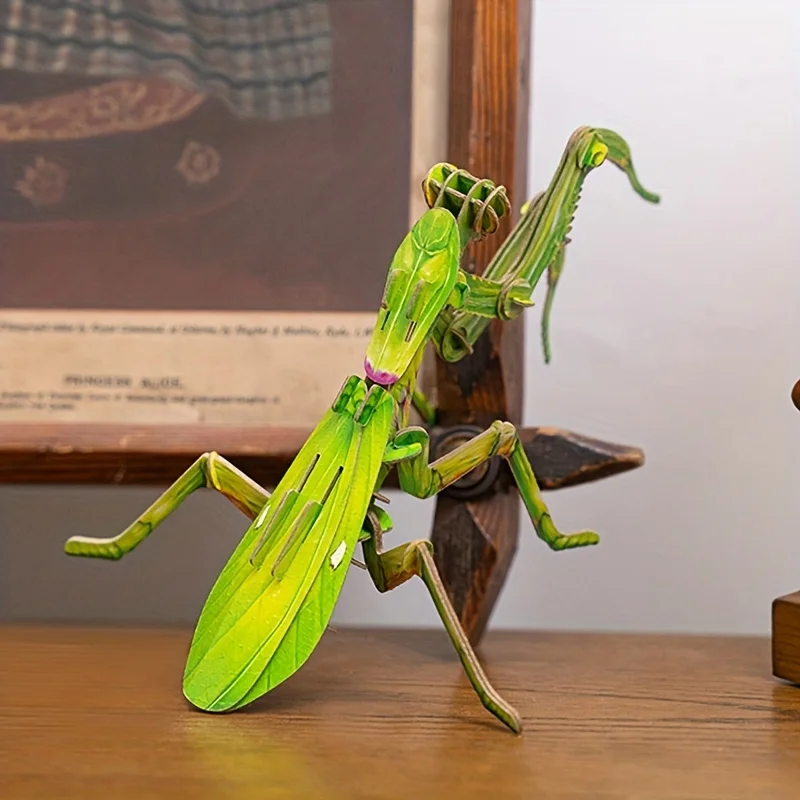 Detský obrovský ázijský modlitebný mantis