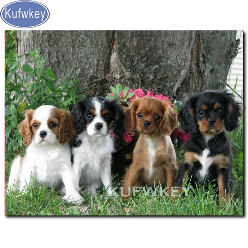 Diamond výšivka Cavalier King Charles Španiel DIY 5D Diamond Painting Full Square/Round Diamond Mosaic Animal Pet 3D Obrázok