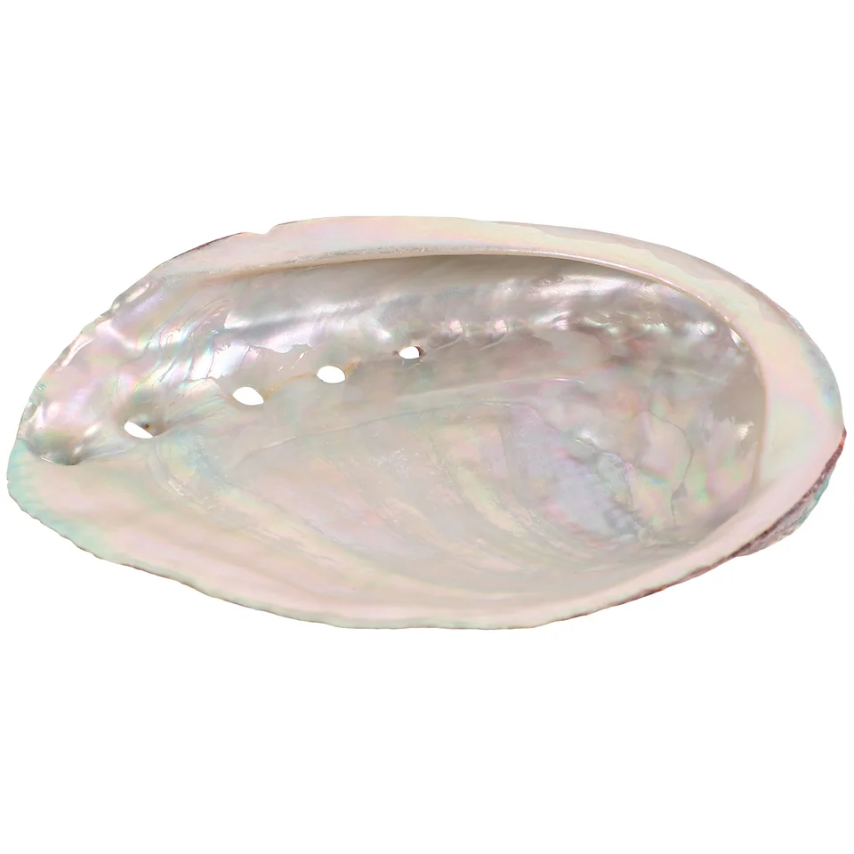 Difúzne aromaterapeutické stojan Ozdobenie flitrová škrupina ABALONE PUCKING NAPÁJANIE