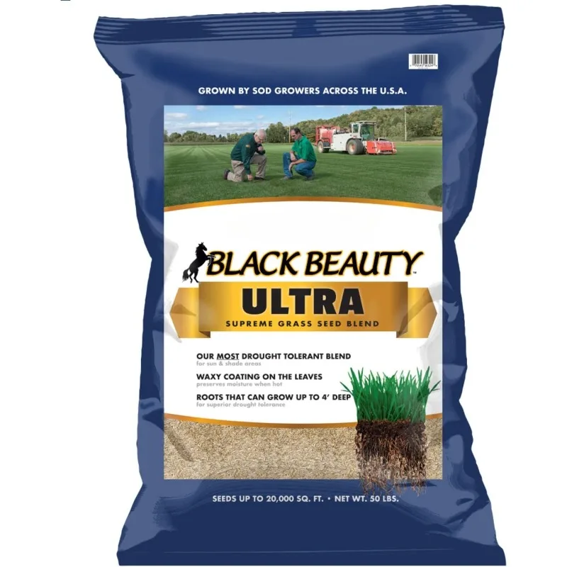 Domov.Black Beauty Ultra Grass Seed - Semeno chladnej sezóny (50 lb)