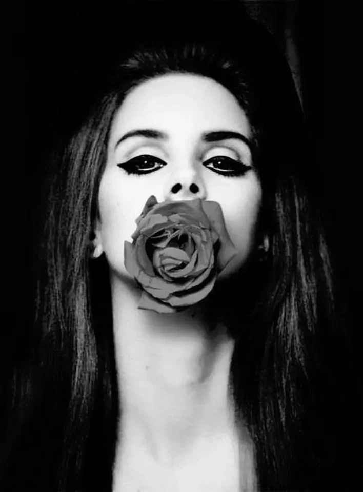 Domáca dekorácia Lana del Rey hudobná hviezda 12-slk umelecký plagát na stenu nálepka dekorácie darček