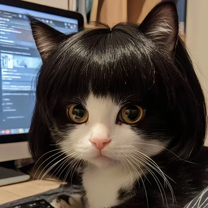Domáce zviera parochne parochňové domáce zvieratá dodávky Halloween Pet doplnky kučeravé vlasy rovné vlasy Cat Parochňa