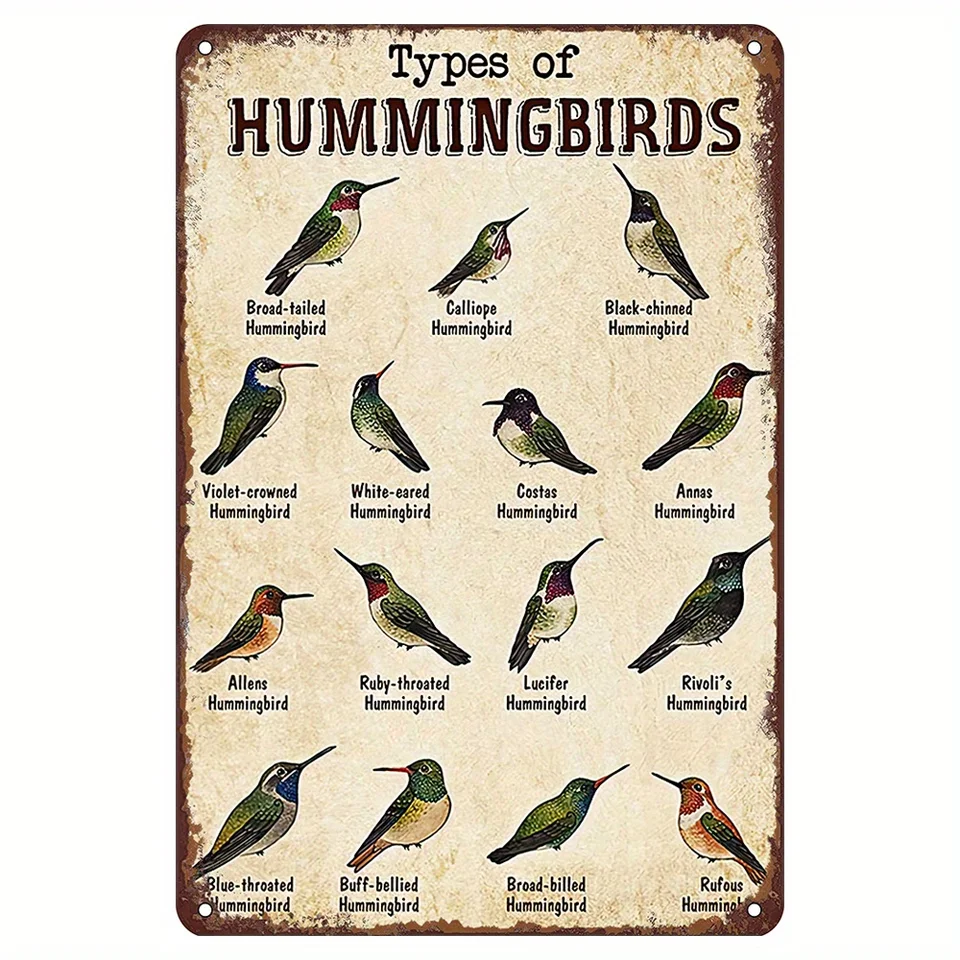 Druhy kolibríka vintage kovové značky, kovové značky kolibríka, darčeky pre milovníkov kolibríka, kolibrík vintage