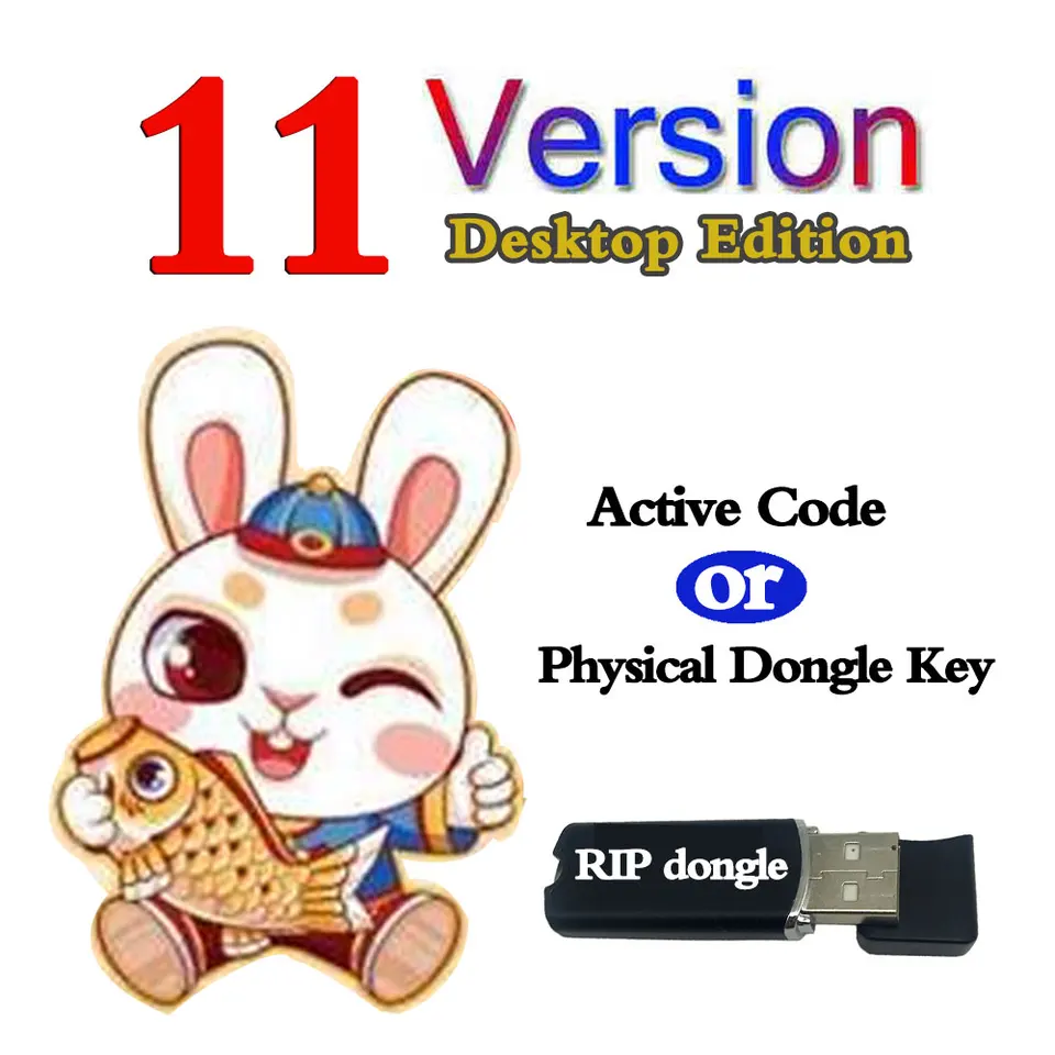 DTF RIP DTG UV Softvér Ver 11 Desktop Edition Dongle Key pre Epson L1800 L805 R1390 XP-15000 P700 P900 DTF Printer verzia 11