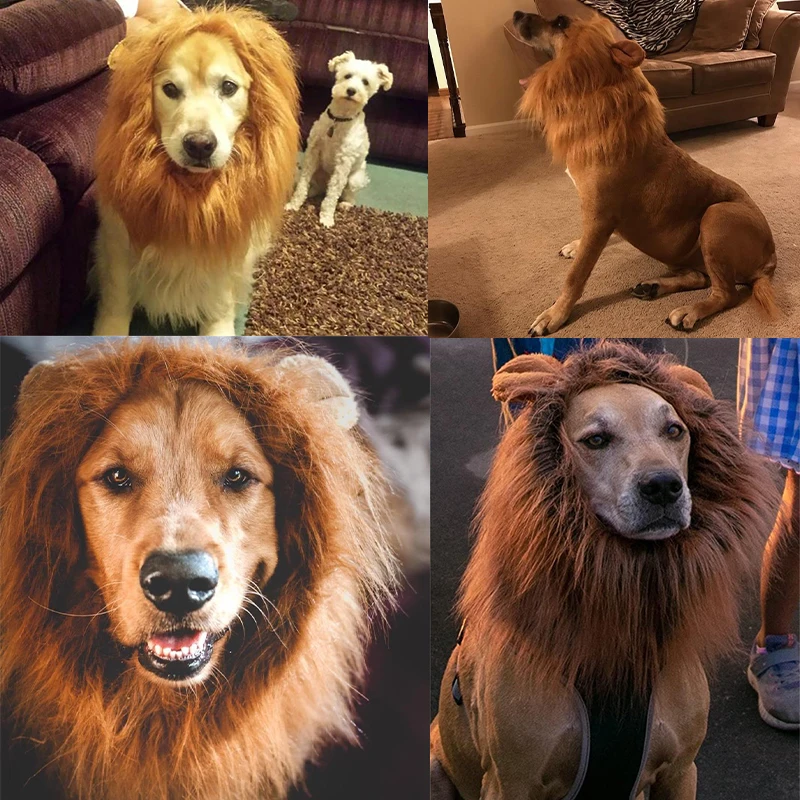 Dualpet Cute Pet Dog Cosplay Cossplay kostým lev zimné teplé domáce zviera pre veľkých psov na párty dekorácie