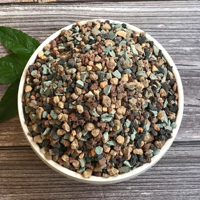 Dúhový kameň sukulentná matrica rastlina Plant Dúh
