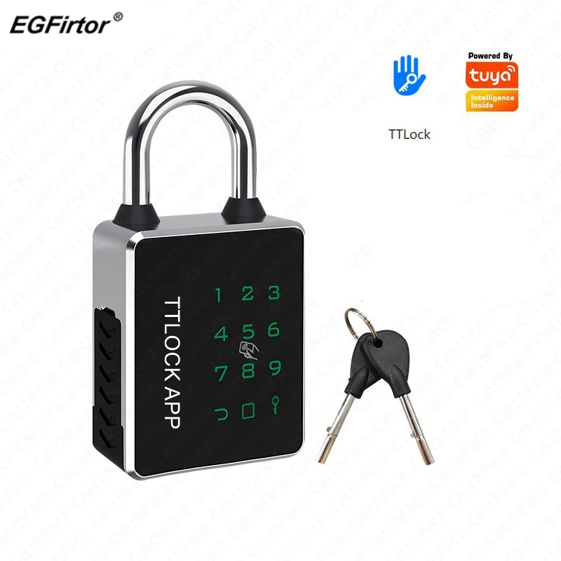 EgFirtor ttlock visiaci zámok tuya aplikácia IC karta RFID Heslo Key NFC odomknutie WALLEPORPLE