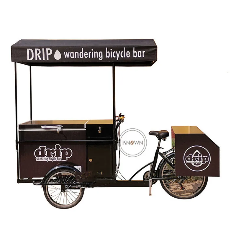 Elektrický bicykel 3 kolies 250 W Náklad pre dospelých Dospelý trojkolesový košík Chladnička zmrzliny Food Bicykel s prispôsobeným čiernym logom na predaj