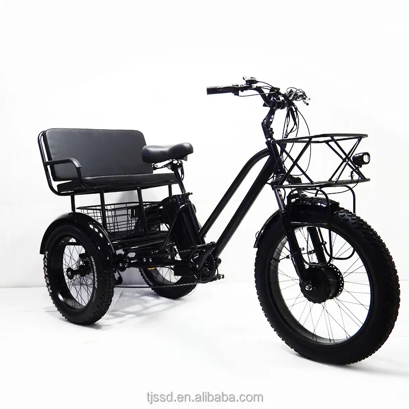 Elektrický dospelý cestujúci trojkolesová fatbike z Číny Ebike Electric Tricy Custom Oceľ 3 kolesá nákladný bicykel