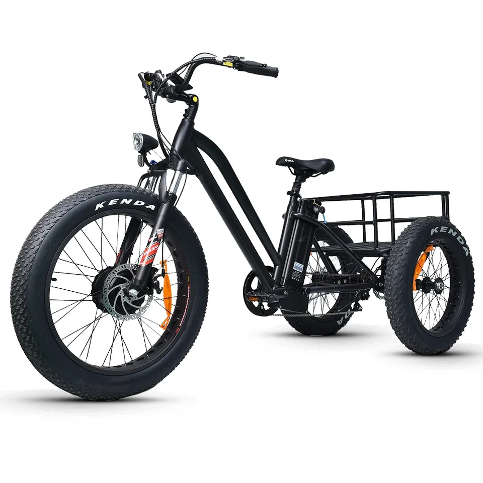 Elektrický tuk Trike 48V 1000W 20AH Snowmobile Electric Trojkolesový tuk Ebike 20-24inch Elektrický nákladný náklad Ebike City Fatbike