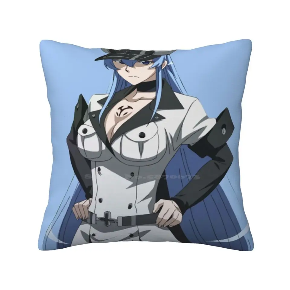 Esdeath (akame ga zabitie!) Vankúšik vankúš najlepšia dievčina Yandere Tsundere najlepších anime darebákov Top anime darebáci Top 10 anime