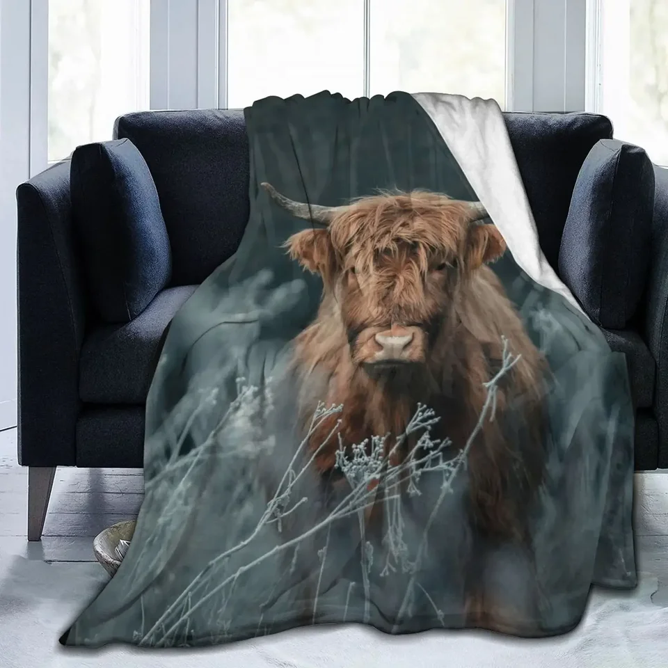 Flanel hnedá krava hodí prikrývku Highland Cattle Kraj