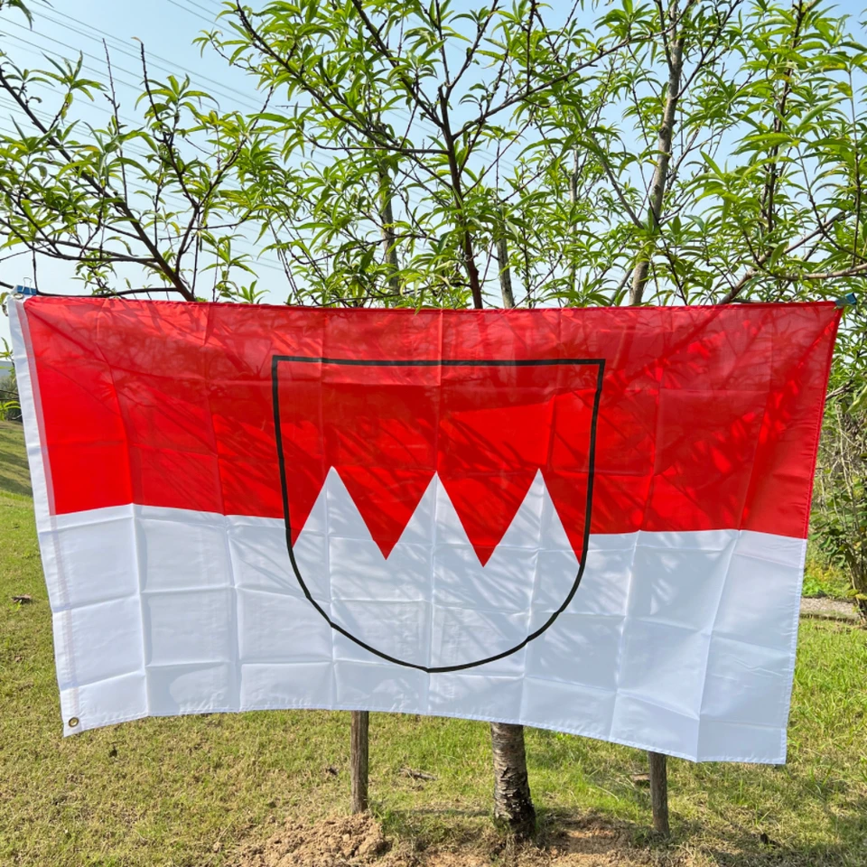 Franken Flag 90x150 cm Vysoko kvalitný polyester visiaci vnútorný a vonkajší bannery zdobia vlajky vytlačené Franken Flag