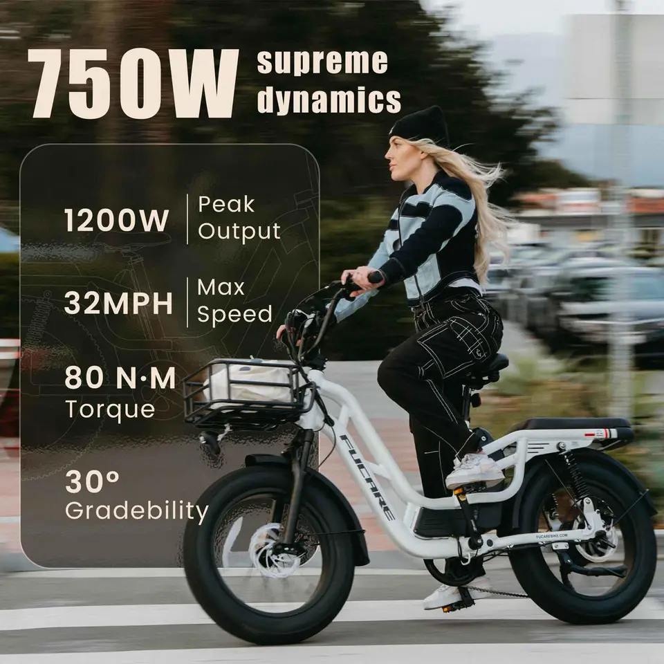 Fucare Libra750W 20AH 48V Littium Battery Electric Bicycle Hub