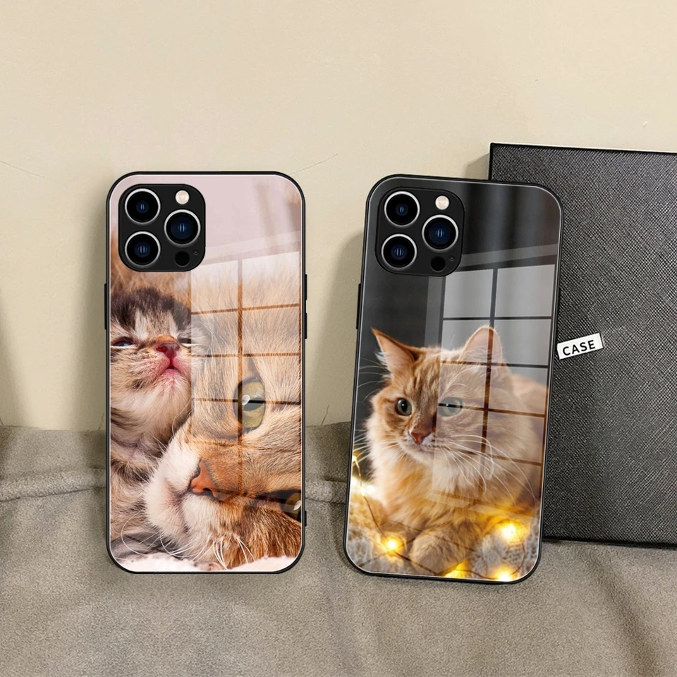 Funny Cartoon Cat Telefón Pase Temped Glass pre iPhone 16 15 Promax 14 13 Pro 12 11 Plus x xs xr kryty