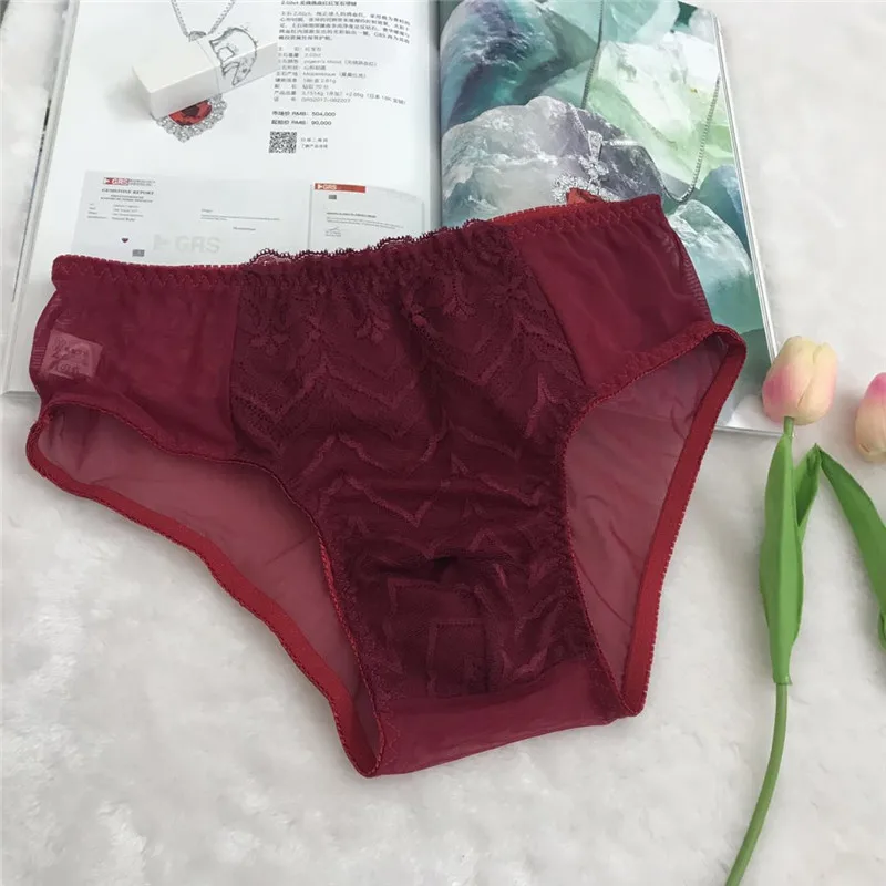 Gay spodná bielizeň sissy nohavičky priedušné čipky priehľadné penisové puzdro Horúce erotické muži spodná bielizeň plus veľkosť m-4xl