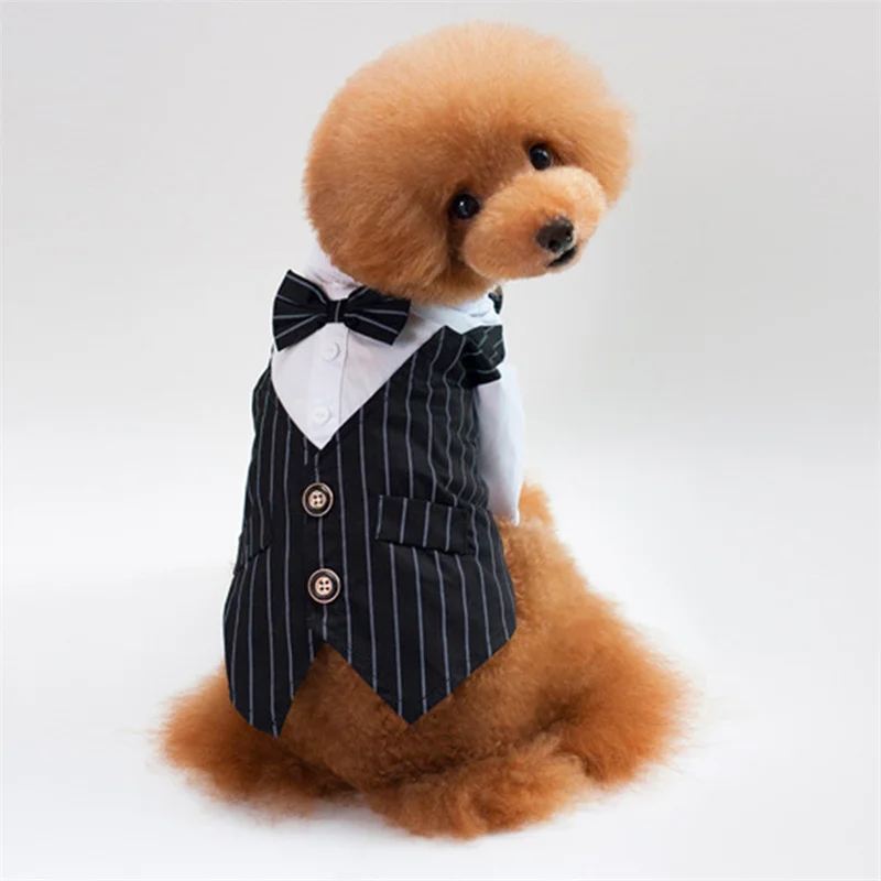 Gentleman Dog Clothes Svadobný oblek Formálne tričko pre malé psov