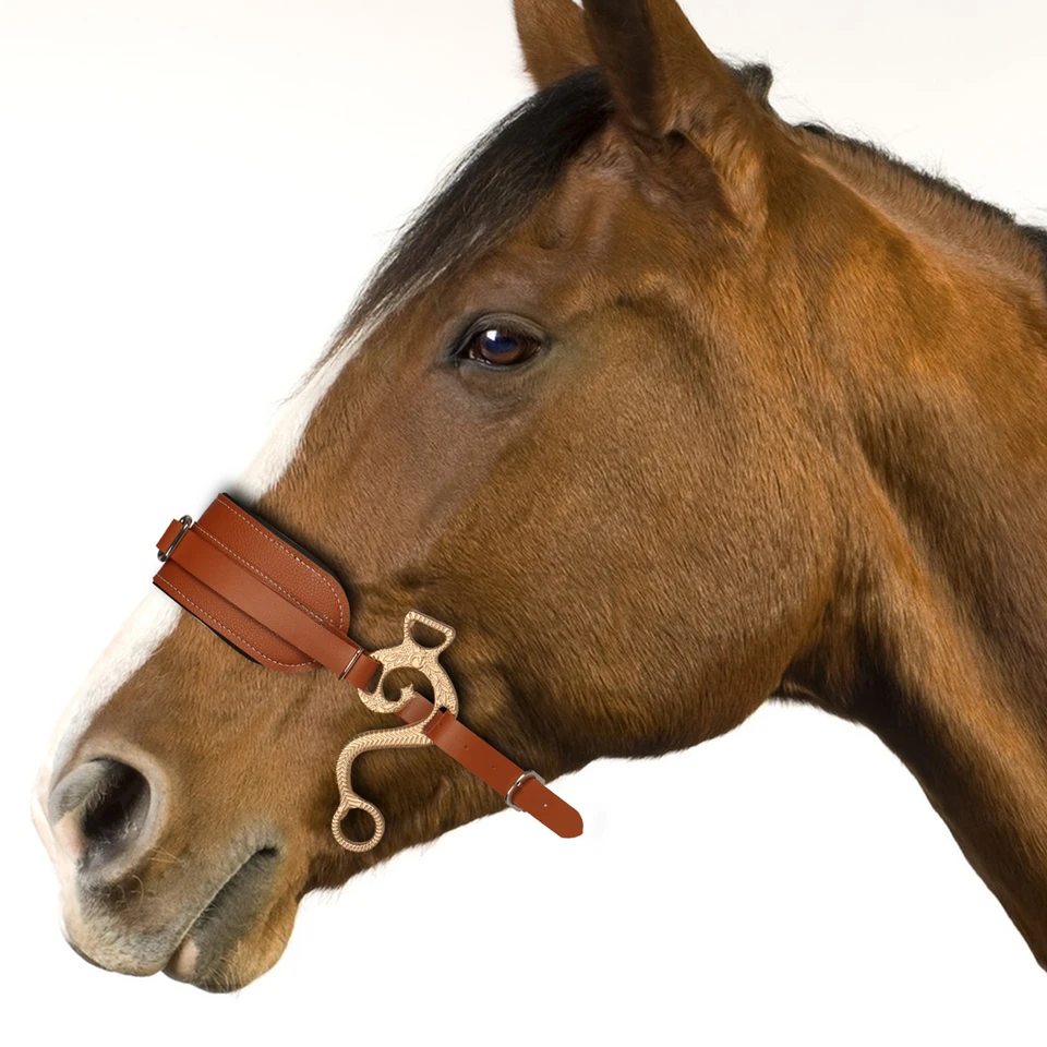 Hackamore Horse Bit Brown Bridle Kožená čalúnená angličtina západný nastaviteľný nos obrubní retiazka koňa jazdecké vybavenie jazdec
