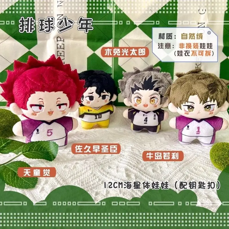 Haikyuu !! Volejbalová plyšová bábika Oikawa Tobio Kageyama Shoyo Hinata Kei Tsukishima Kozume Kenma Mini Gifed Toy Pendant Kid Darček