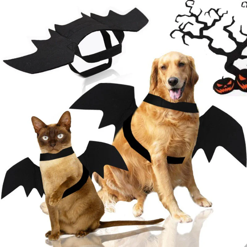 Halloween kostým pre psov Pet Bat Wings