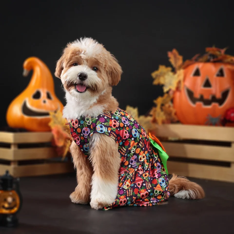 Halloween Pet sukňa kvetina duchovná sukňa malá a stredná sukňa psa
