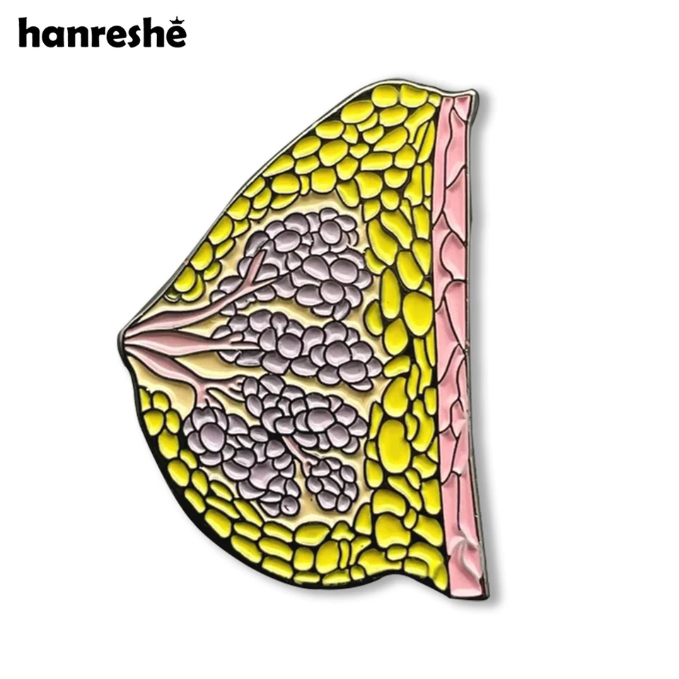 Hanreshe Medical Produk Brows Brošňa Kvalita klopa batoh Anatomy Pins Badge Jewelry pre doktora medicíny Študent