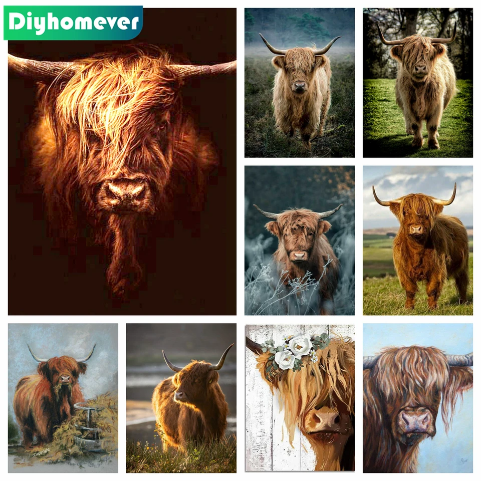 Highland Cow Diamond vyšíva maľba Highland Cattle Bull Animal Diamond Mosaic Art Cross Stitch Sit