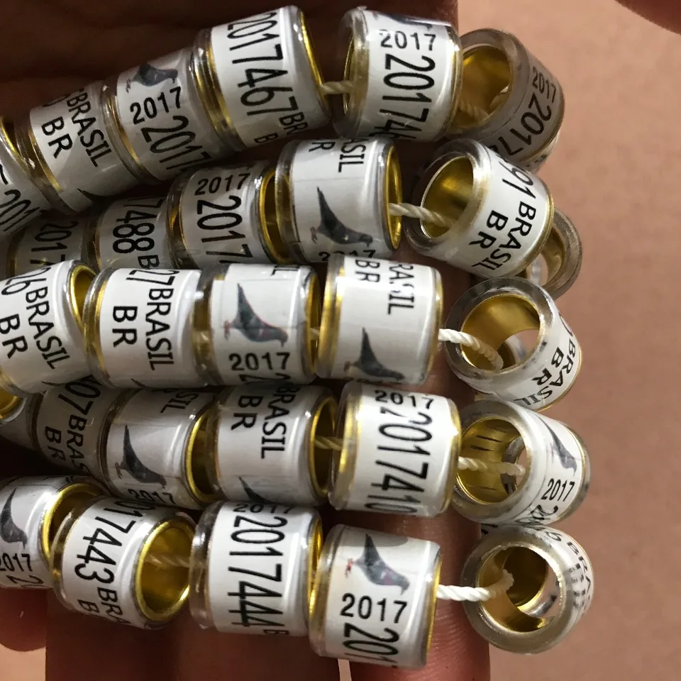 Hliník s plastovým holubom 8 mm zvyčajné farby pre pretekárske holuby 100ks/veľa