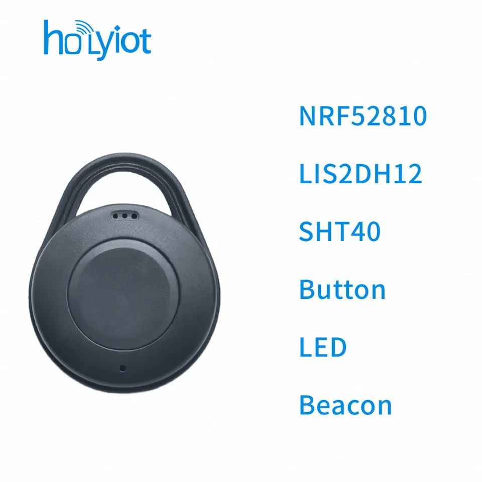 Holyiot NRF52810 Eddystone IBEACON TAG ACCELEROMEROMER SHT40 Teplota vlhkosť Bluetooth 5.0 Nízkoenergetický modul BLE BLEACON 1PC